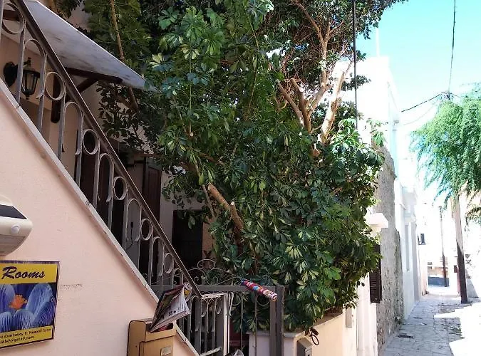 Classical With Style In The Town * エルムポリ