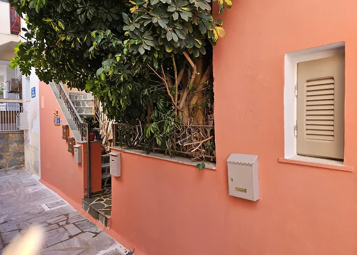 Classical With Style In The Town * エルムポリ