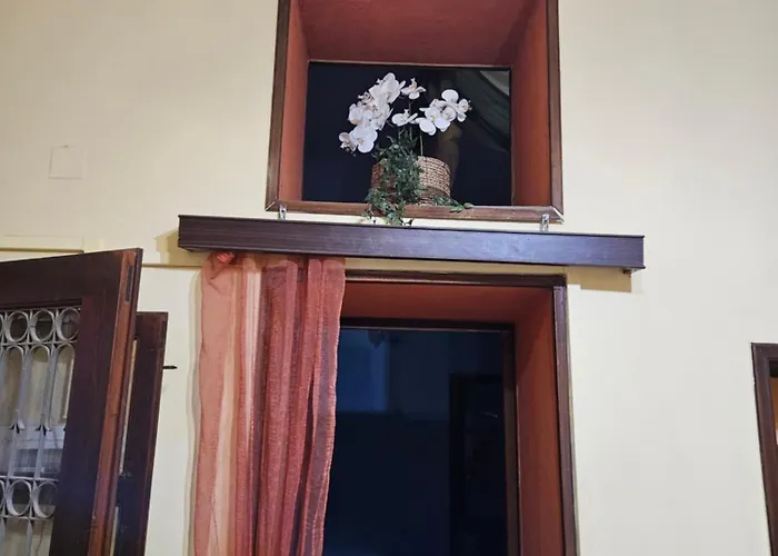 Classical With Style In The Town